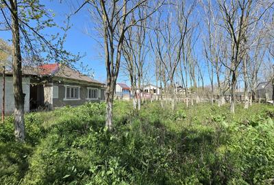 Teren Construcții intravilan de 2760 mp, în Sibioara - 3