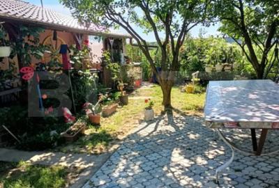 Teren de 1000 mp, în Careiului - 5