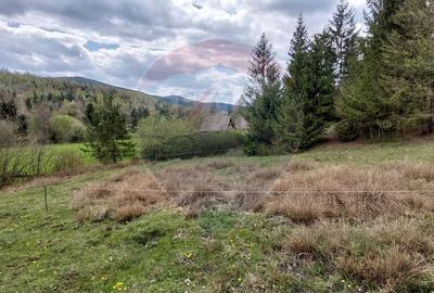 Teren agricol extravilan de 2800 mp, în Central - 16