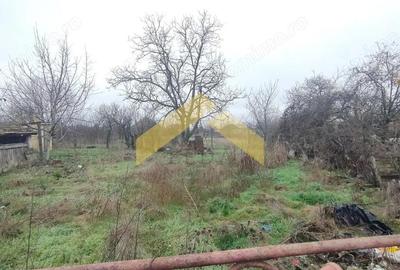 Casa cu teren 1757 mp in Sambateni de vanzare - 10