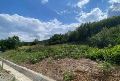 Teren de 1617 mp, în Brătești - 3