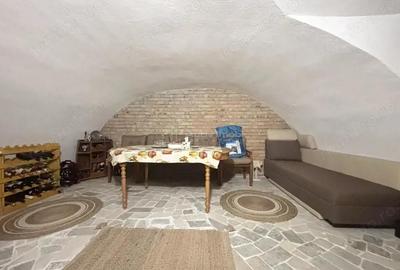 Refugiu urban cu personalitate Casa cu mansarda si crama amenajata - zona centrala - 15