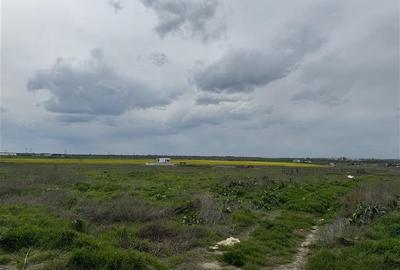 Teren 2500 mp zona Boreal - 10