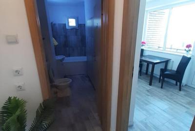 Apartament cu 2 camere decomandat în Ultracentral - 7