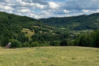 Teren de vanzare intravilan | Intorsura Buzaului - 9