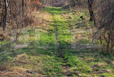 Casă cu 1 camere cu Teren 5400 Mp în Central - 3