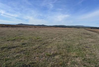 Teren agricol extravilan de 44000 mp, în Hărman - 5