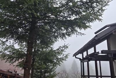 Casă cu 3 camere cu Teren 402 Mp în Bran - 16