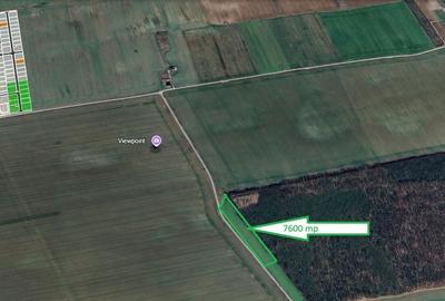 Spațiu comercial, în Frumușani - 1