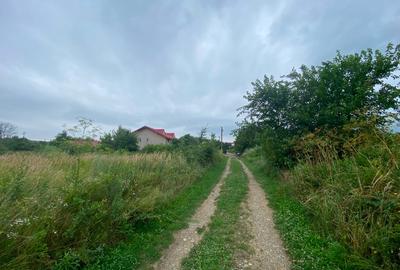 Teren de vanzare - Comuna Hemeius, Bacau - 4