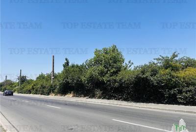 TEREN STRADAL GIULESTI, 50000 mp, la asfalt, intravilan, toate utilitatile, pent - 5