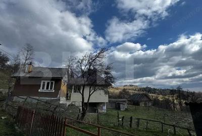 Casa la munte, teren 8324 mp, anexe, zona comuna Bucium - 5