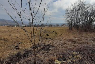 Teren intr-o  zona frumoasa, linistita , Valea Fanatelor, zona cu case - 4