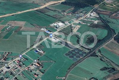 Teren intravilan 15.000 mp Front 47 m DN7 in Talmaciu zona industriala - 1