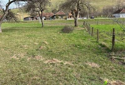 Teren de 1700 mp, în Bulz - 4