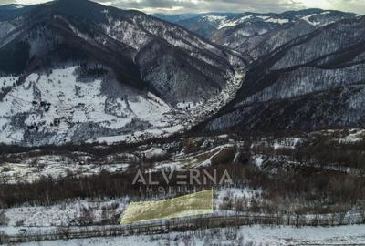 Teren constructii LOT 1037mp sau 2075mp | sat Plopi - Valea Ierii - 2