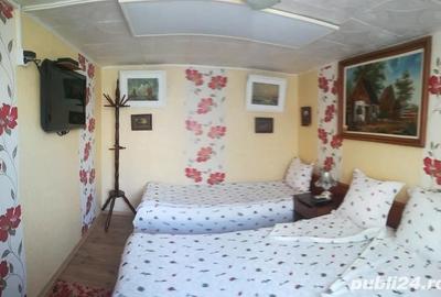 Casă cu 11 camere cu Teren 2200 Mp în Crișan - 1