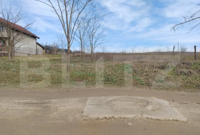 Teren în Malu Mare - 6