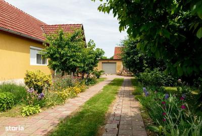 Casă cu 3 camere cu Teren 700 Mp în Central - 17