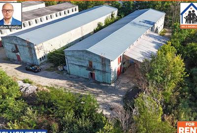 Hale de inchiriat in 1 Decembrie Ilfov | NILS Imobiliare - 2