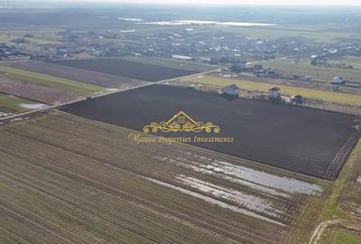 Teren de 10000 mp, în Ulmi - 6