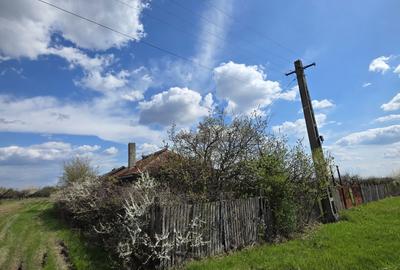 Casă cu 3 camere în Leleasca - 5