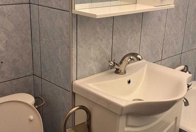 Garsonieră decomandată în Berceni - 5