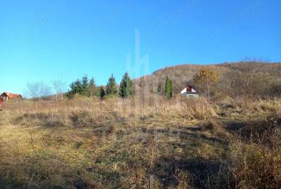 Teren de 3310 mp, în Fântânele - 2