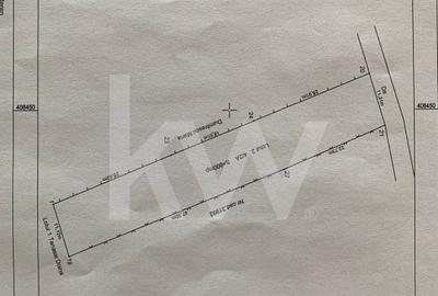 Vatra de casa si plantatie de vita de vie - 4