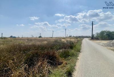 Teren Construcții intravilan de 6090 mp, în Albota - 2