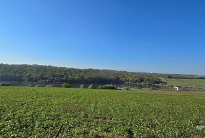 Teren Construcții intravilan de 694 mp, în Central - 1