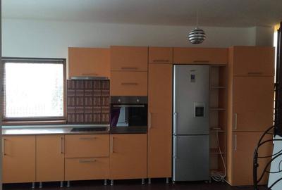 Casă cu 4 camere cu Teren 300 Mp în Dosu Bricii - 4