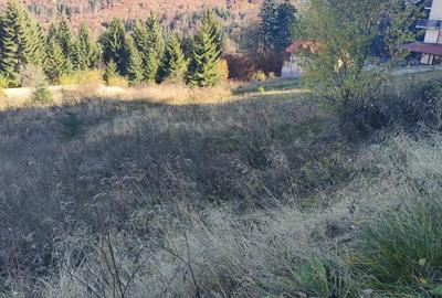 Teren în Central - 8