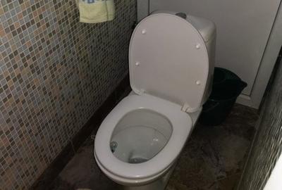 Duplex Gavana D+P+E+M, teren 500mp, garaj - 8