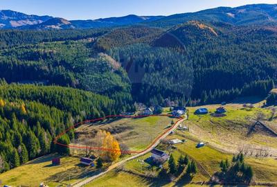 Teren Construcții intravilan de 13800 mp, în Fundățica - 3