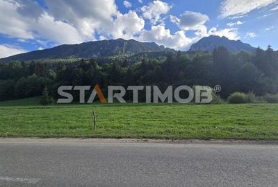 Teren intravilan Zarnesti Plaiul Foii - 13