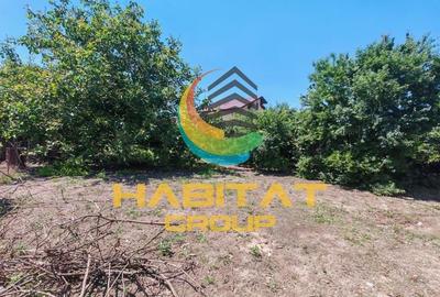 Oferta unica-teren stradal- Bulevardul 1 Mai, Berceni - 2