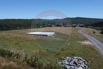 Teren agricol extravilan de 3757 mp, în Păltinoasa - 5