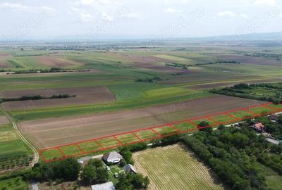 Teren în Central - 1