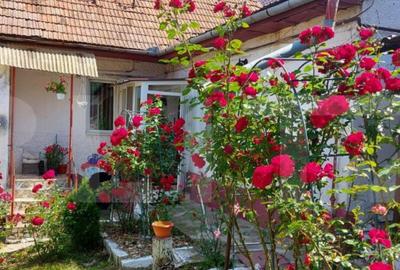 Casa individuala 4 camere 94mp utili, singur in curte, zona - 15