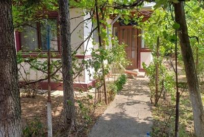 Casa batraneasca de vanzare in Chitila –  aproape de Bucuresti - 2
