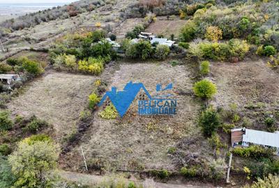 Teren intravilan NICULITEL, zona deosebita, 3044MP - 6