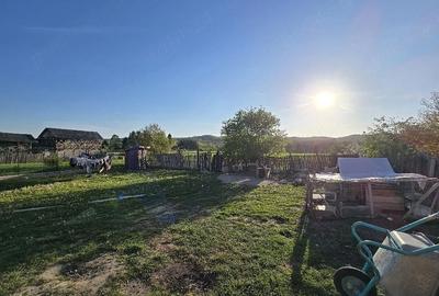 Casă cu Teren 4600 Mp în Tetoiu - 4