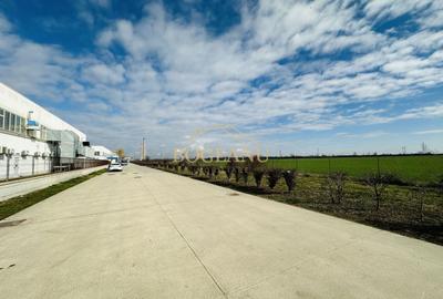 Teren agricol extravilan de 46400 mp, în Giroc - 2