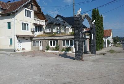 Casă cu 5 camere cu Teren 240 Mp în Bixad - 8