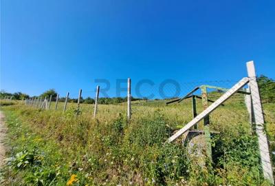 Teren de 9461 mp, în Podgoria - 5