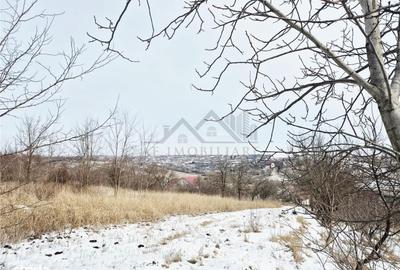 Spațiu comercial, în Rusenii Vechi - 5