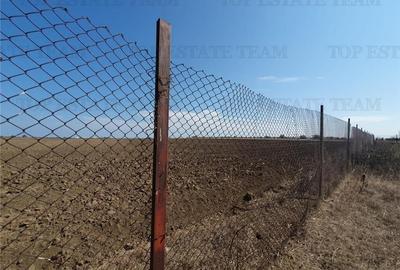 Teren intravilan agricol si teren curti constructii Lot 2 Parcela A326/49 Teren intravilan agricol si teren curti constructii Lot 2 Parcela A326/49 - 8