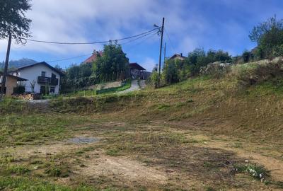 VINZARE TEREN INTRAVILAN - 1