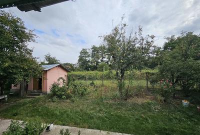 Casă cu Teren 2800 Mp în Bolotești - 6